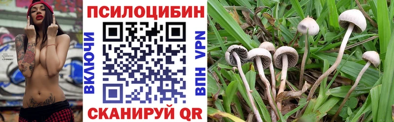 Купить закладки  Дегтярск  Галлюциногенные грибы мухоморы 